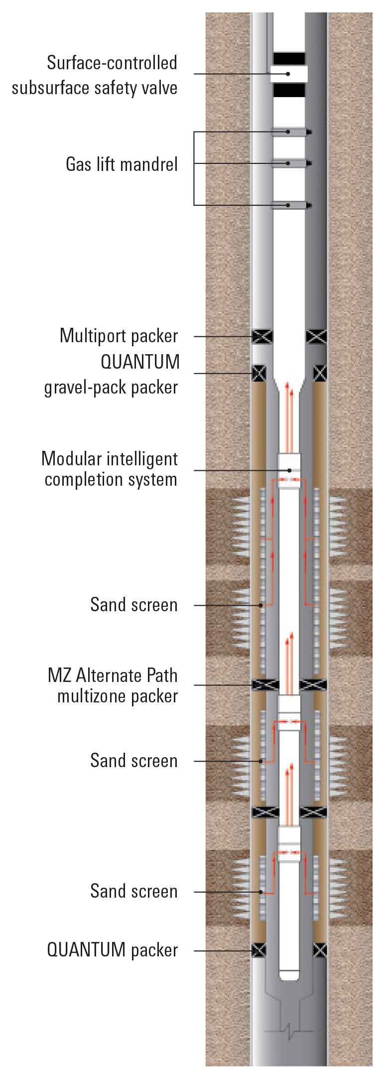 The final workover completion schematic featured multiple completion technologies (SPE 171477).