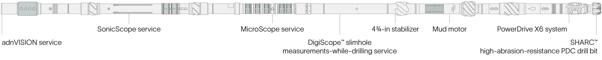The custom-designed BHA included a powerful suite of LWD services.
