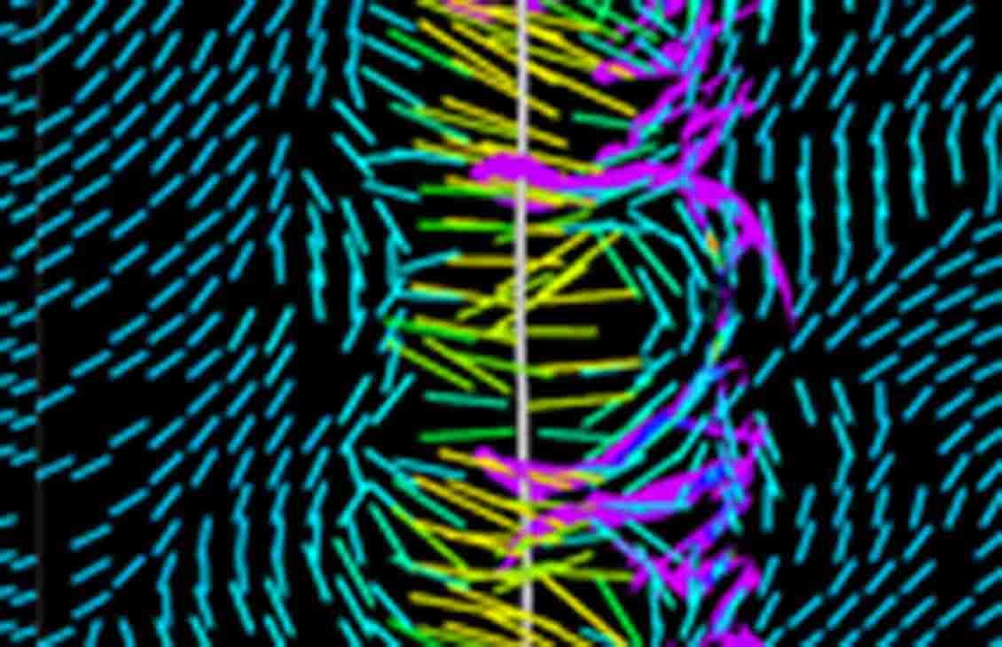 Updated maximum stress azimuth at 1-year depletion and modeled complex fracture geometry of the child well. 