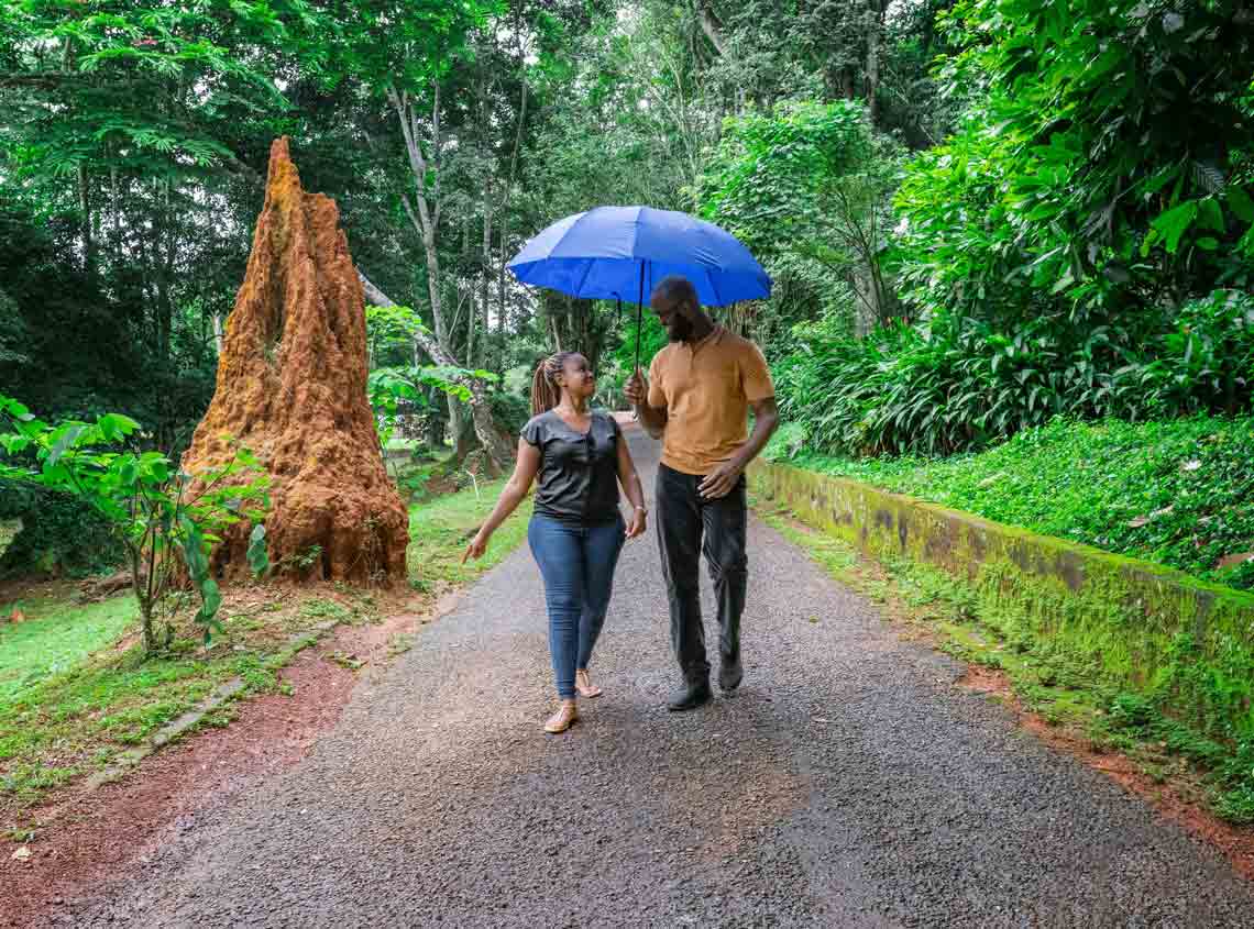 Two people holding an umbrella and walking down a path through a forest 