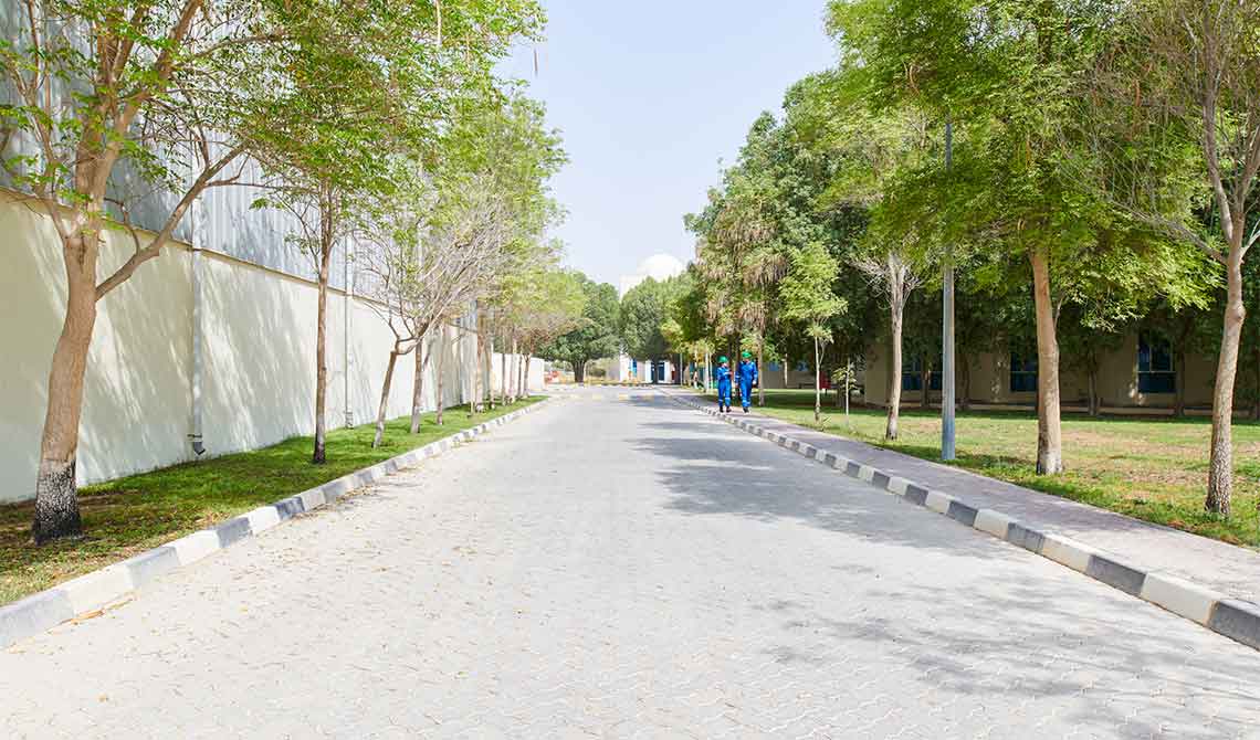 Two SLB operators walking down a sidewalk lined with trees