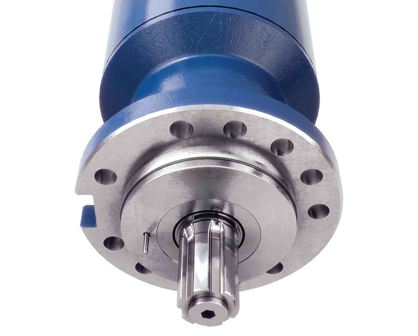 REDA Maximus protector.