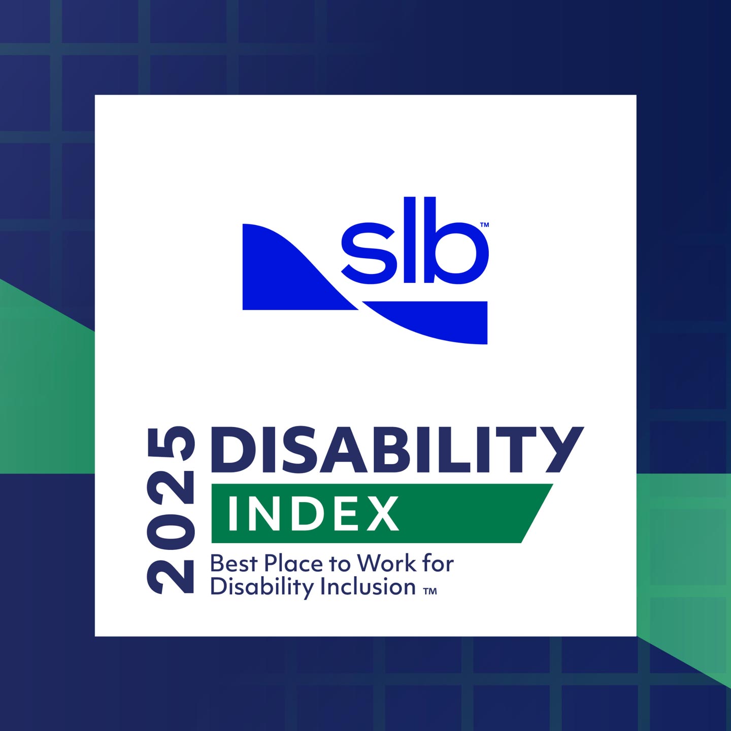 A recognition graphic featuring the Disability Index and SLB logos