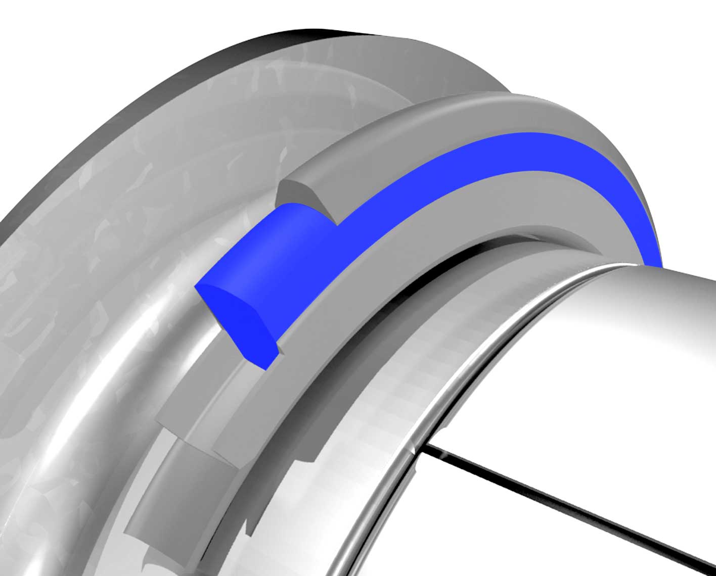Xplorer Kaldera seals.