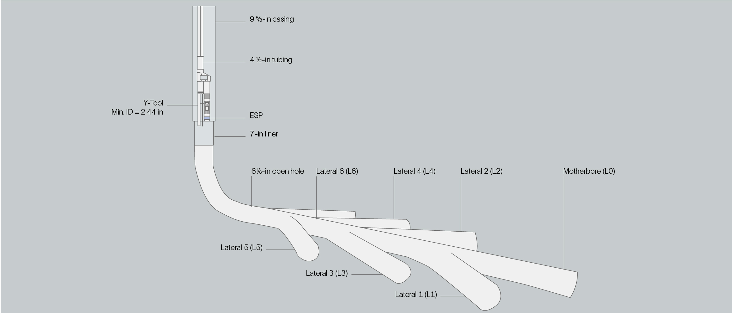Graphic showing the multilateral well configuration.