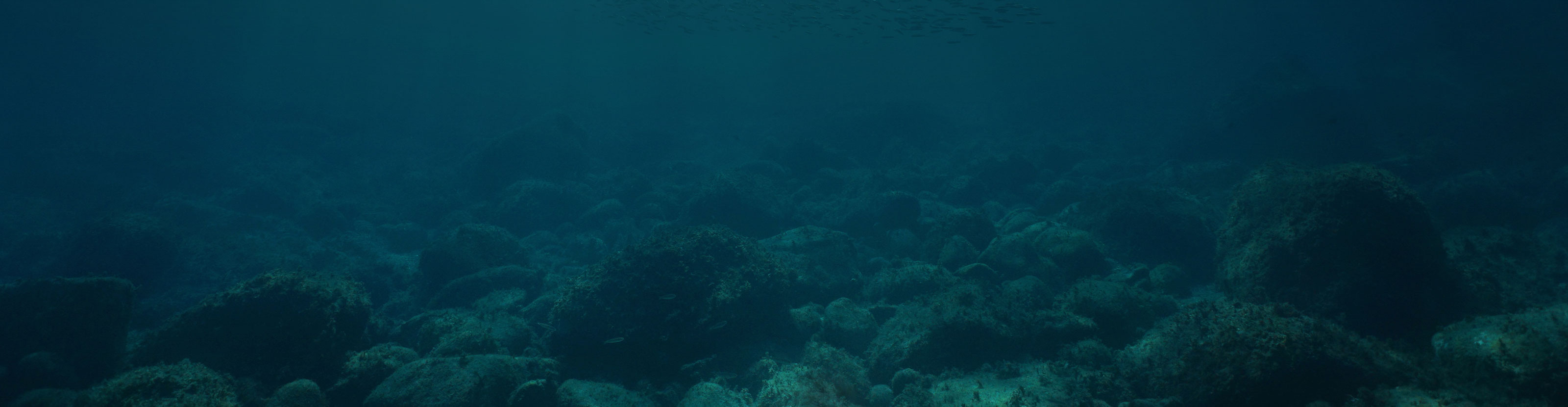 DeepCem - card - ocean floor