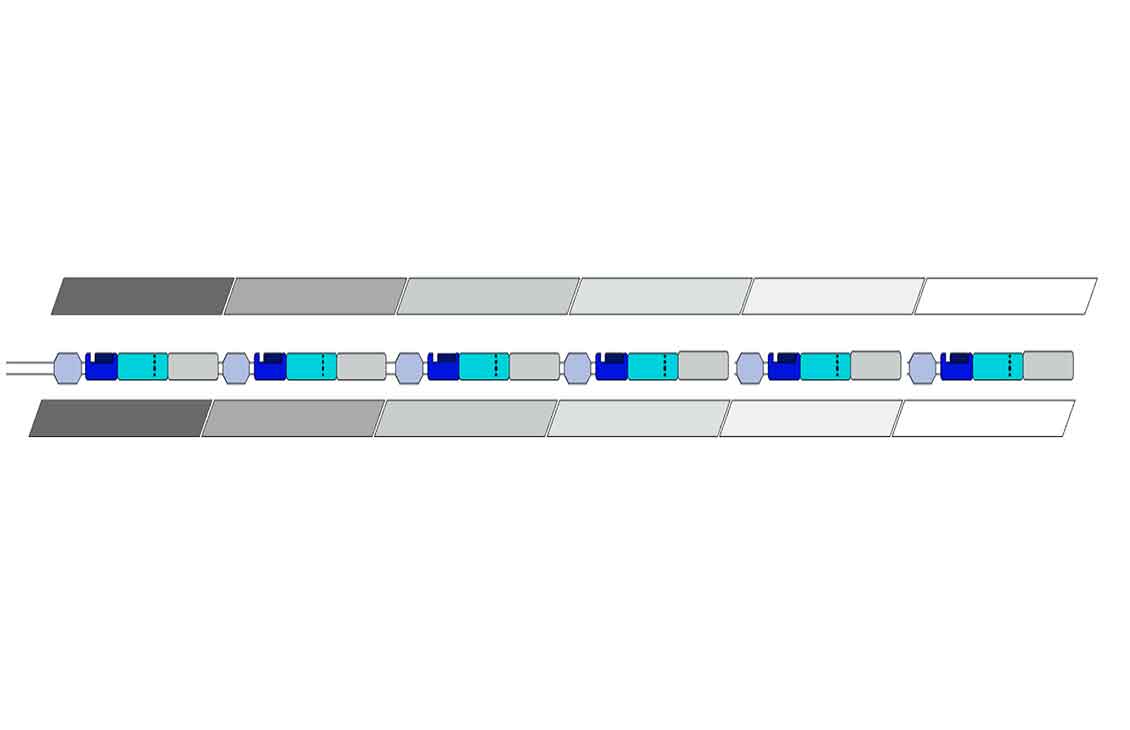 image showing a multizone well