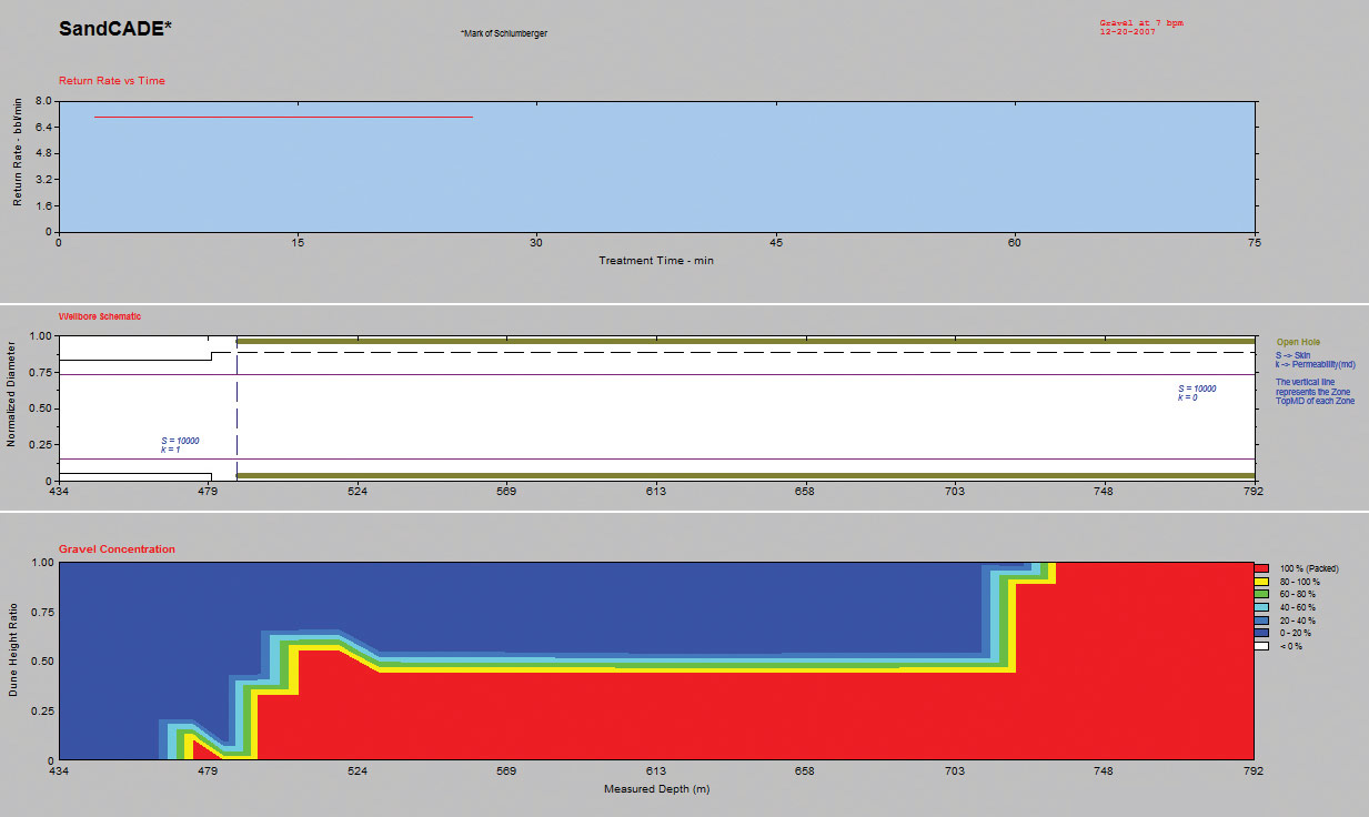 SandCADE Gravel-Pack Design Software | Sand Control | SLB