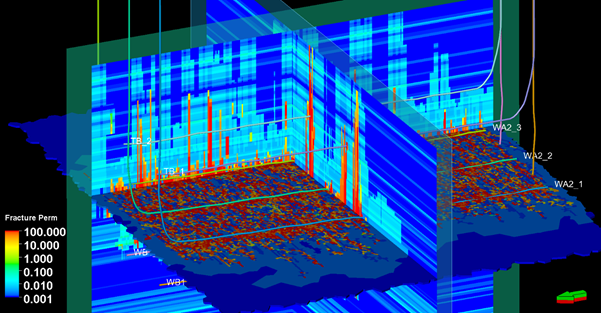 Fig 2 Fracture permeability distribution