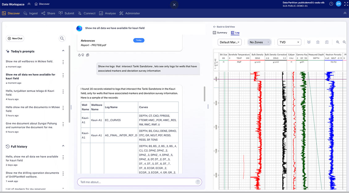 Data workspace conversational insights