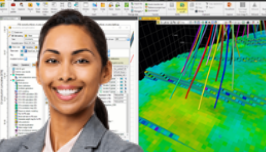 Agile Reservoir Modeling for Geologists