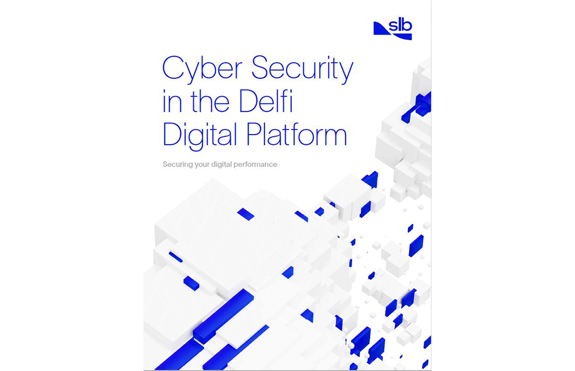 Cyber Security in the Delfi Digital Platform