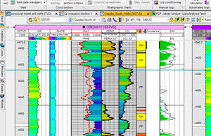 Software screen to display, organize and interpret any type of well data.