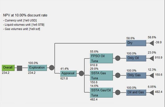 Geox software value assessment