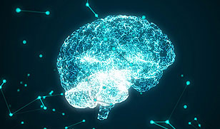 Top 10 Success Factors for Effective Machine Learning Projects