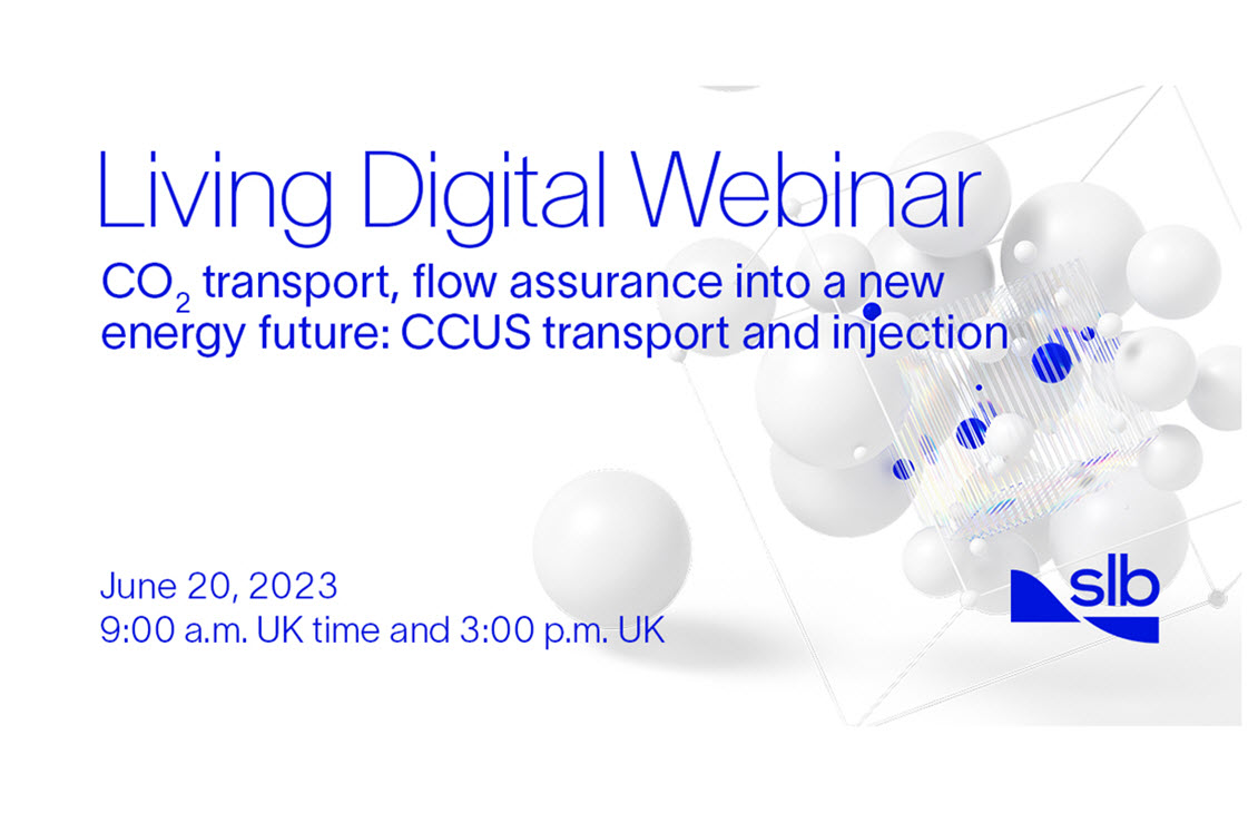Living Digital Webinar - CO2 transport flow assurance into a new energy future