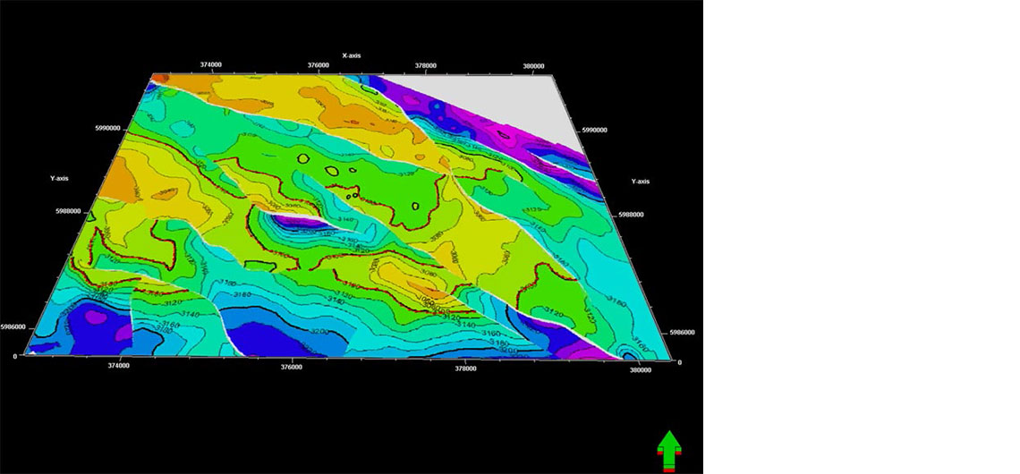 Petrel surface imaging