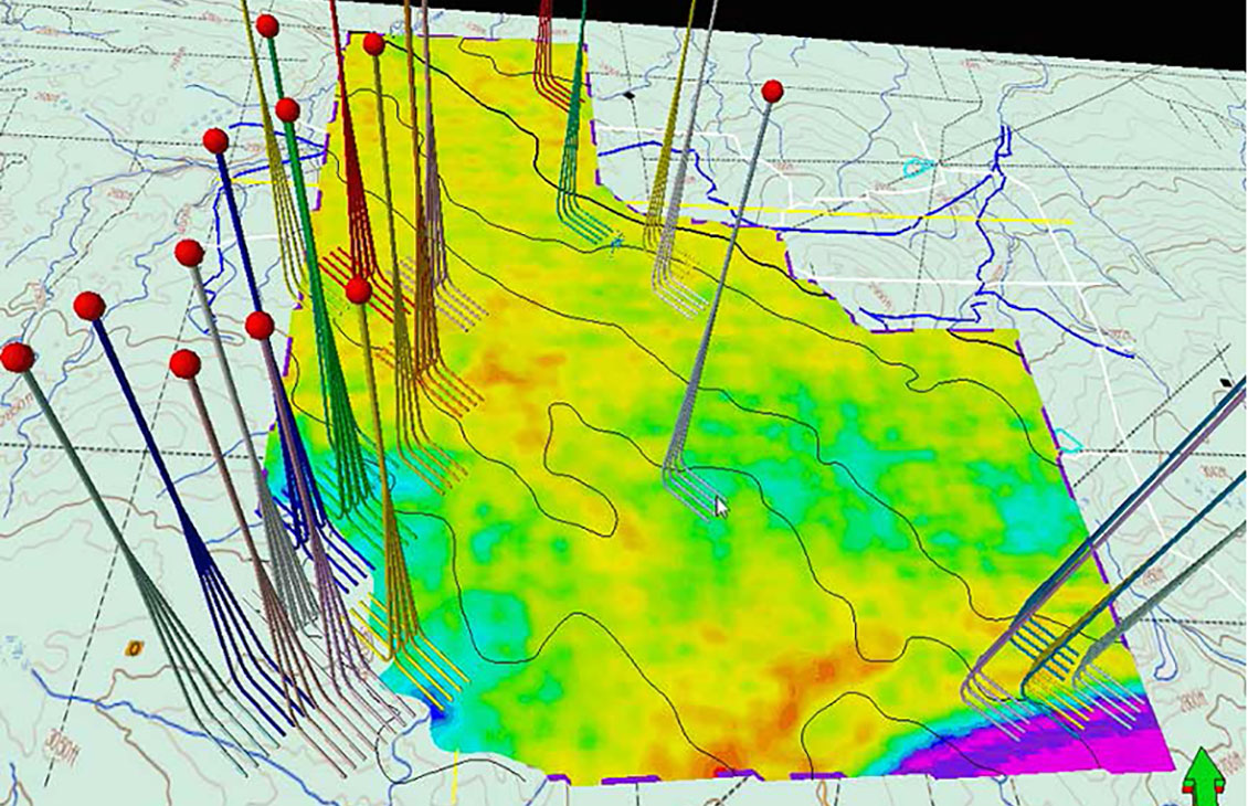 Petrel surface imaging