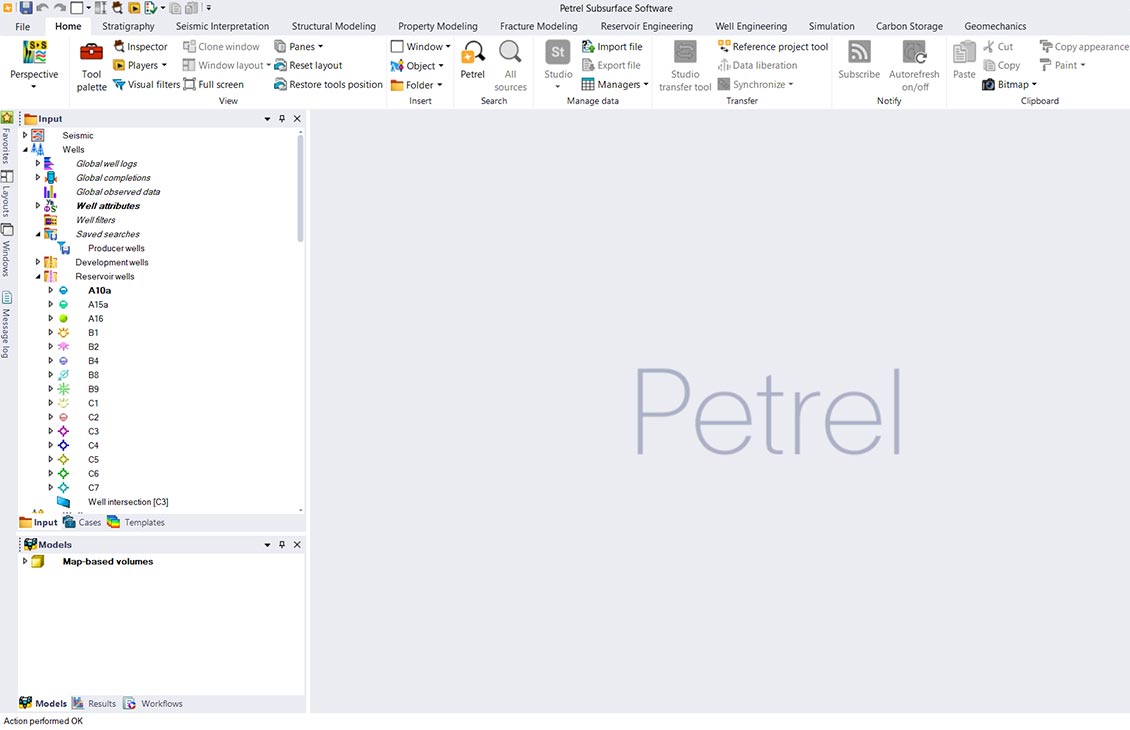 Petrel 2024.8