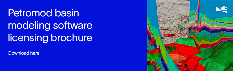Petromod Licensing Brochure download