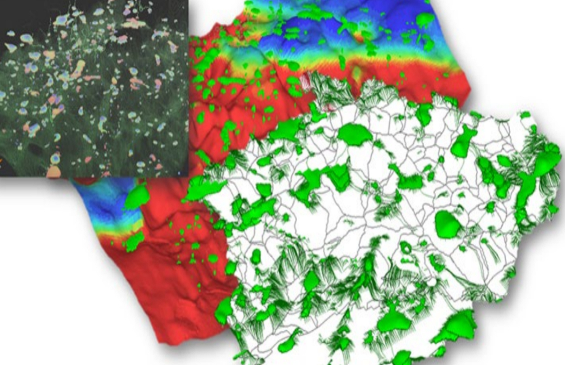 Managing uncertainties with PetroMod software