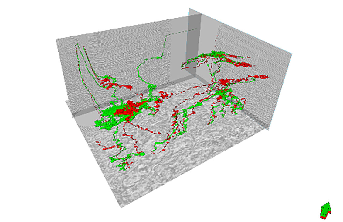 Fluid Migration Analysis 