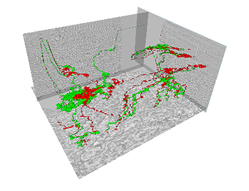 Fluid migration analysis