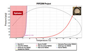 ​Pipesim extensibility and integration