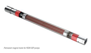 Support for ESP permanent magnet motors