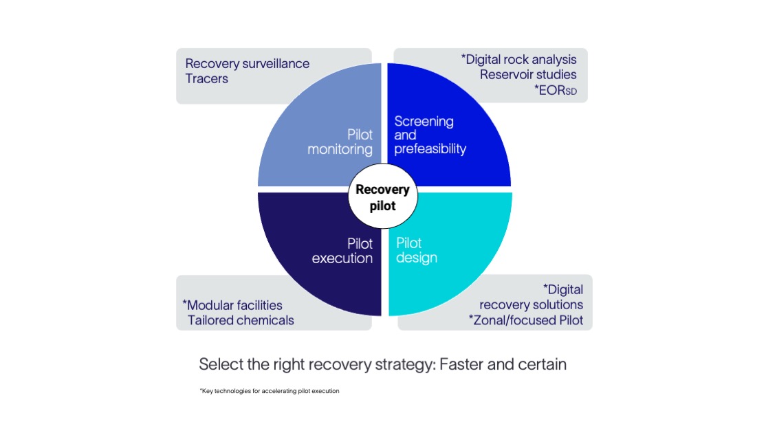 Recovery pilot design and execution