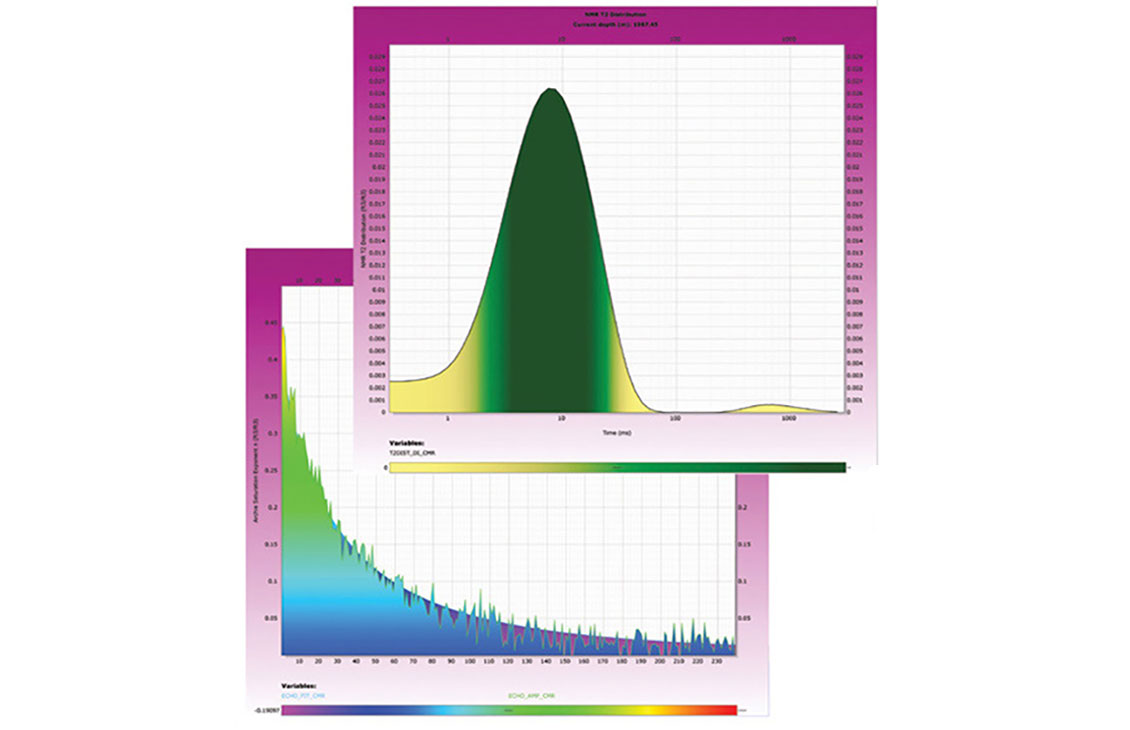 Techlog Nuclear Magnetic Resonance (NMR)