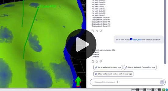 Petrel AI assistant-RE