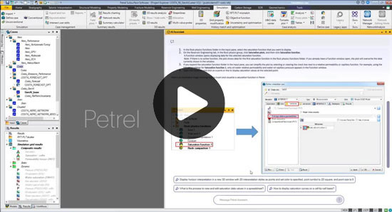 Petrel AI assistant-RE