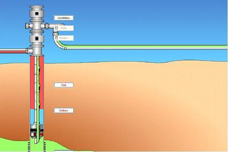 Wellbore