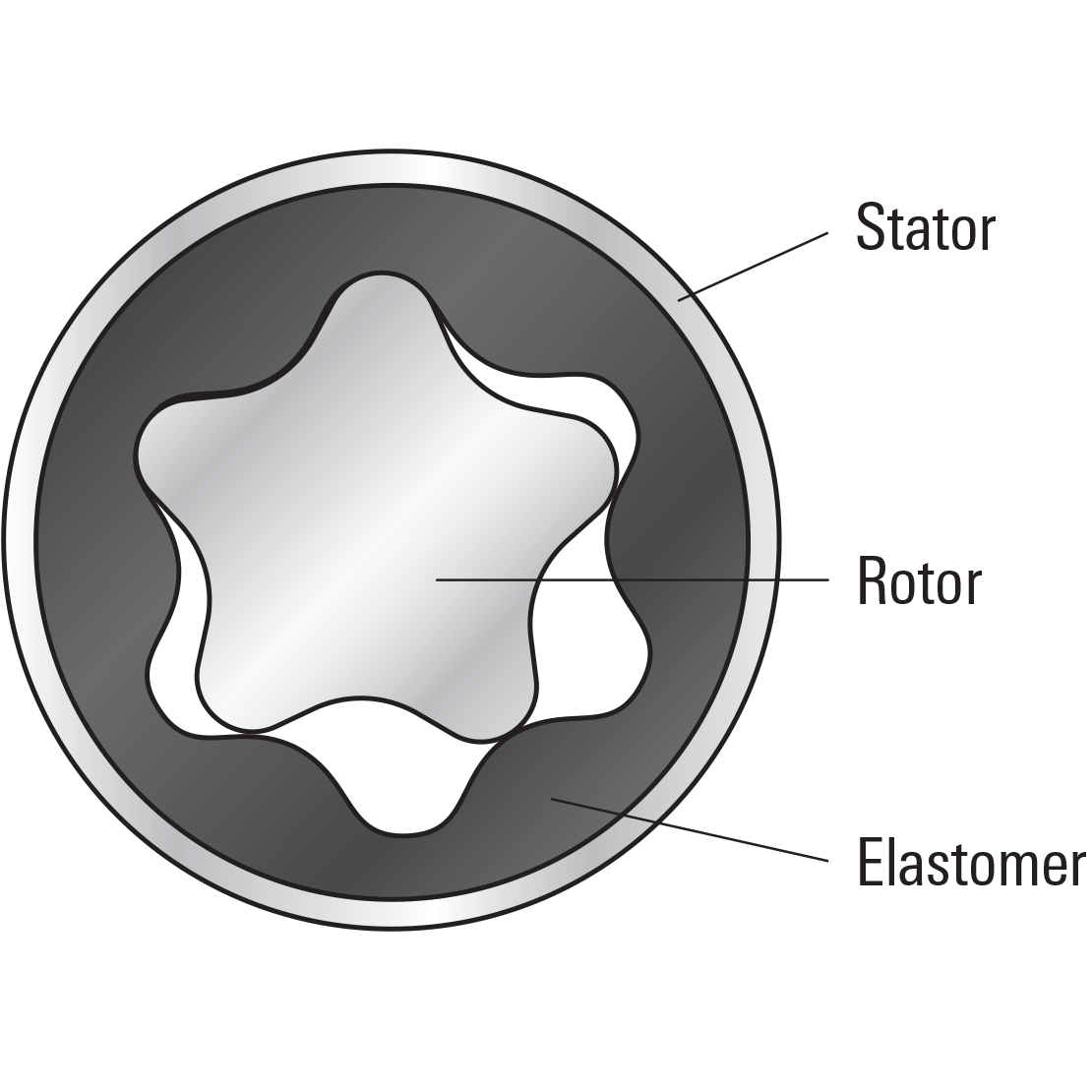 Diagram highlighting the stator, rotor, and elastomer of a PowerPak motor 