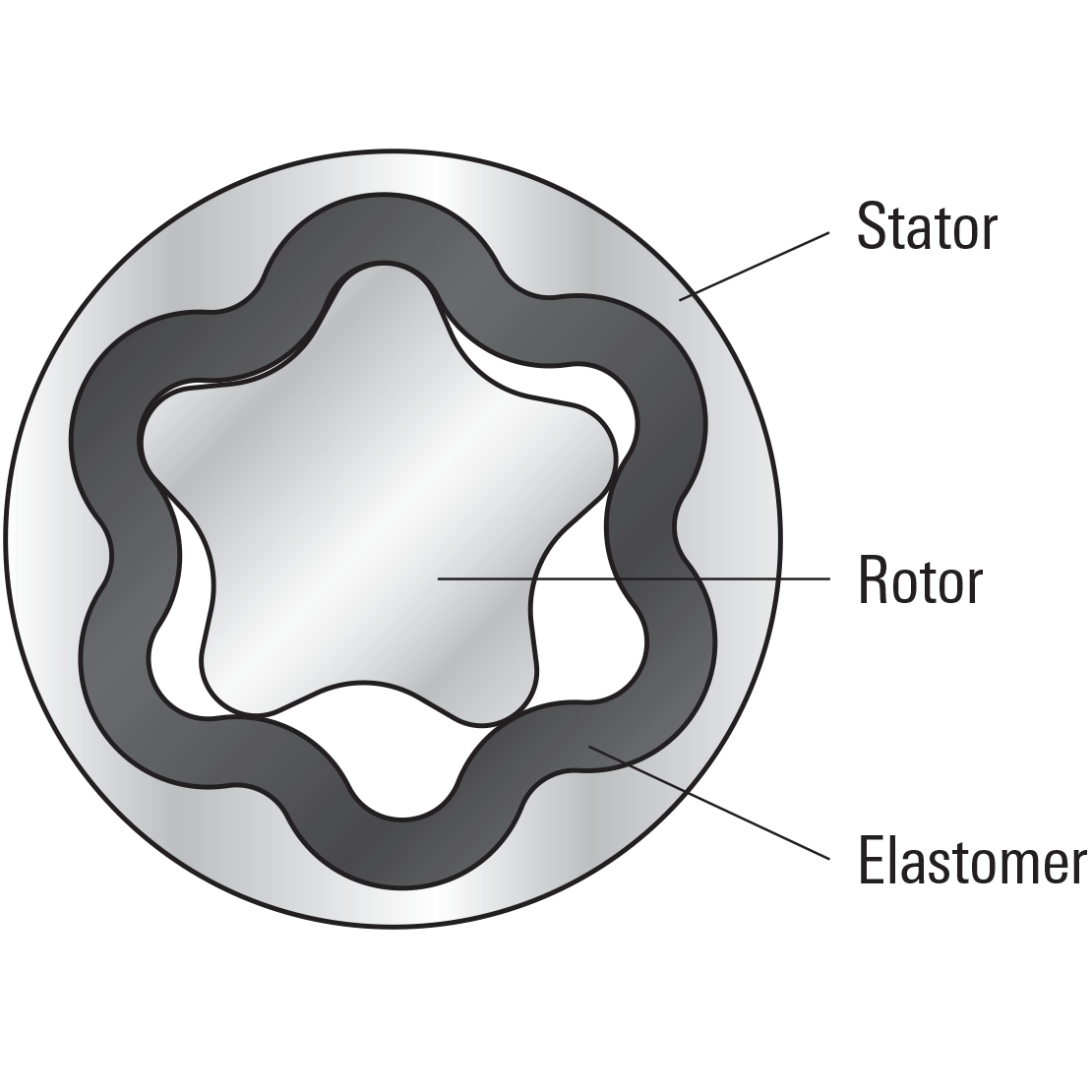 Diagram highlighting the stator, rotor, and even-thickness elastomer of a PowerPak ERT motor
