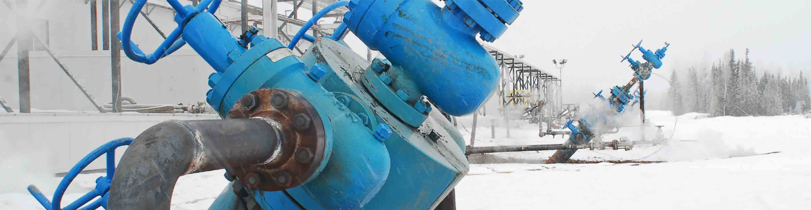 Heavy Oil Wellhead Systems