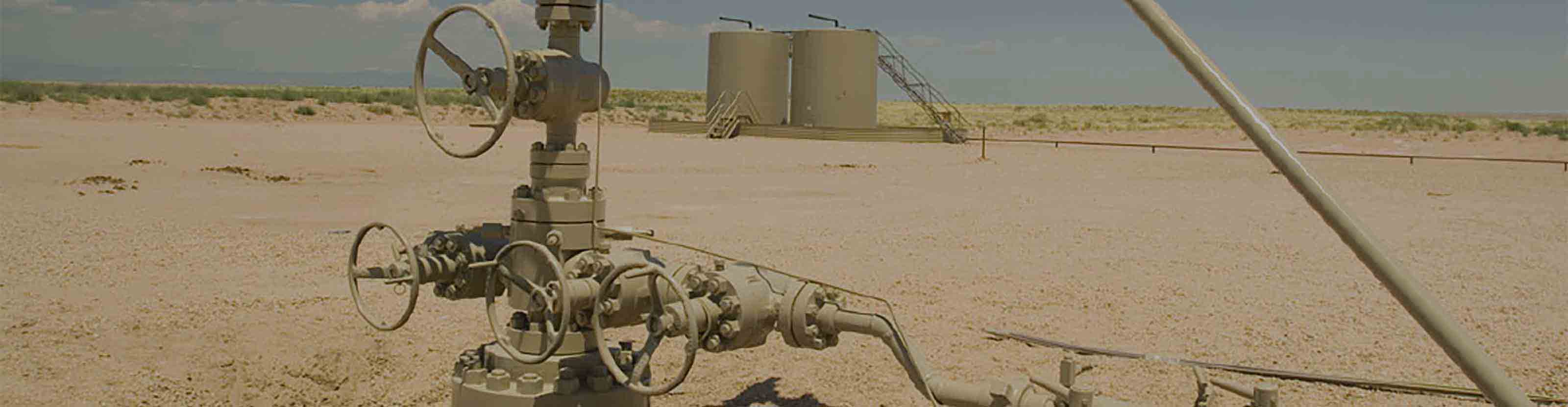 IC Conventional Wellhead System