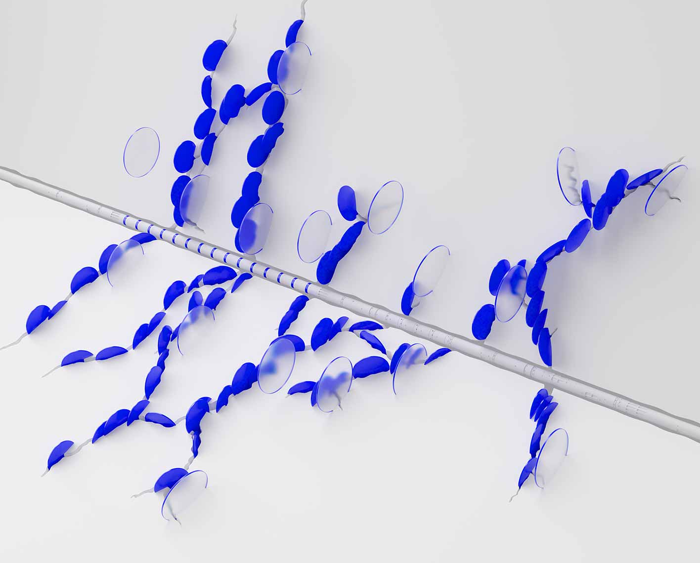 3d render of far-field sonic service