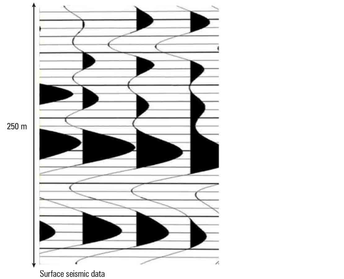 Surface seismic data