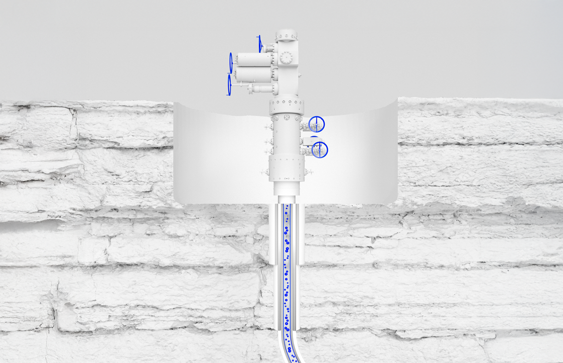 Carbon storage well design.