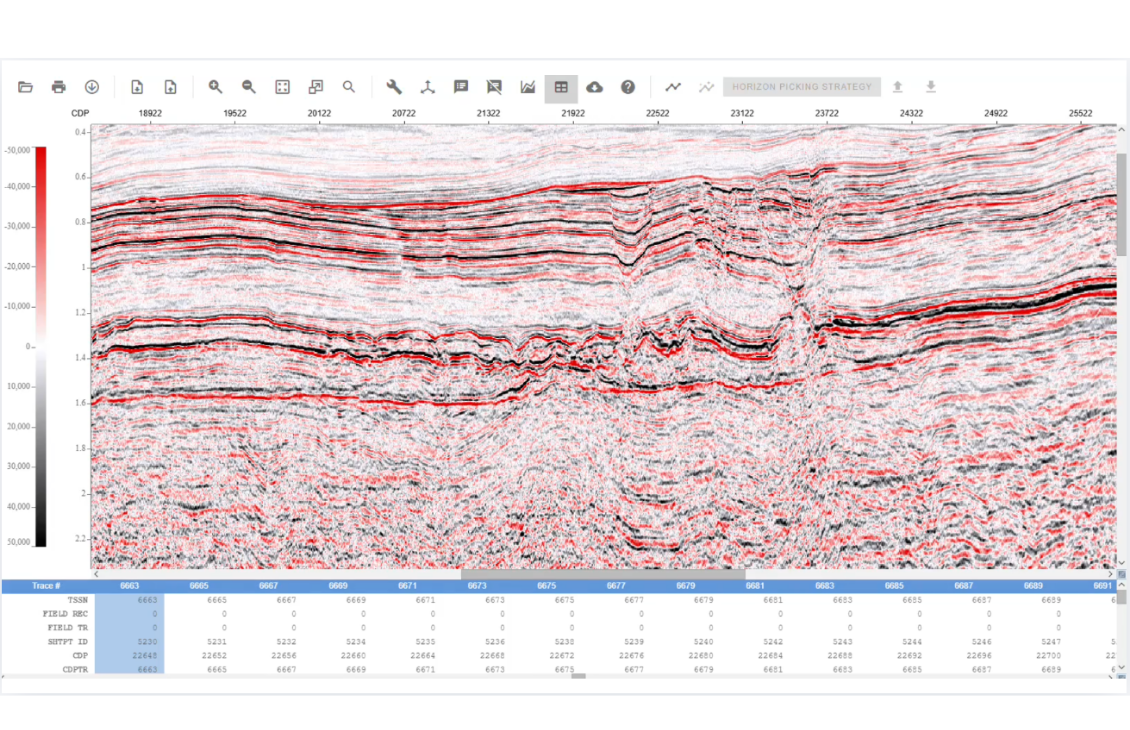2D seismic display