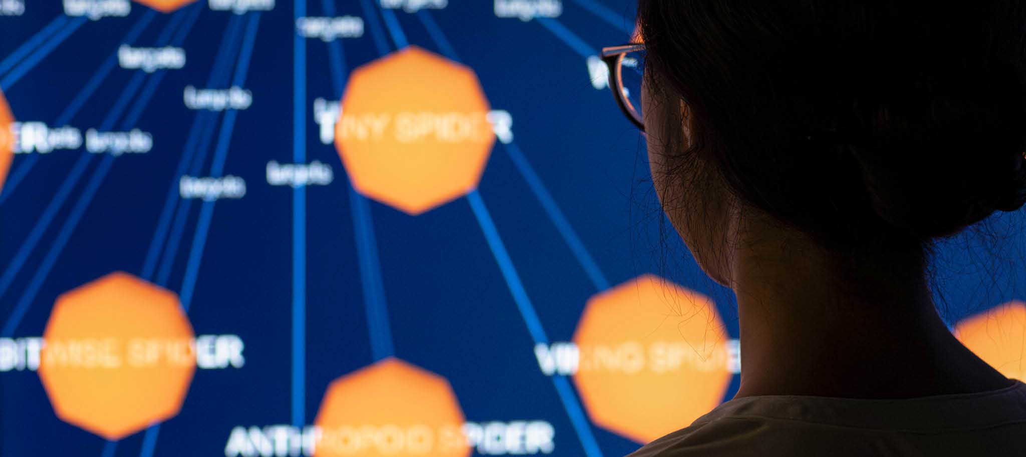 Person viewed from behind looking at a digital network diagram with connected orange hexagons on a blue screen.