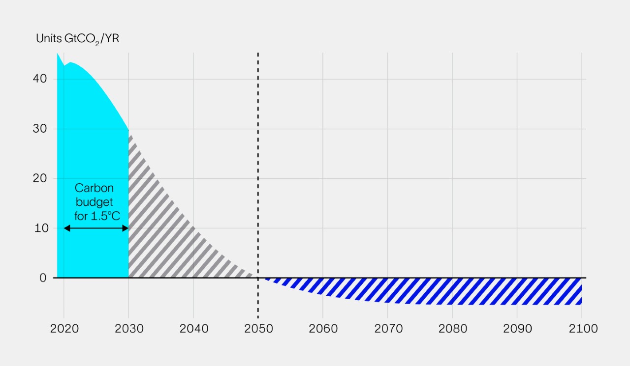 Carbon Curve_Article