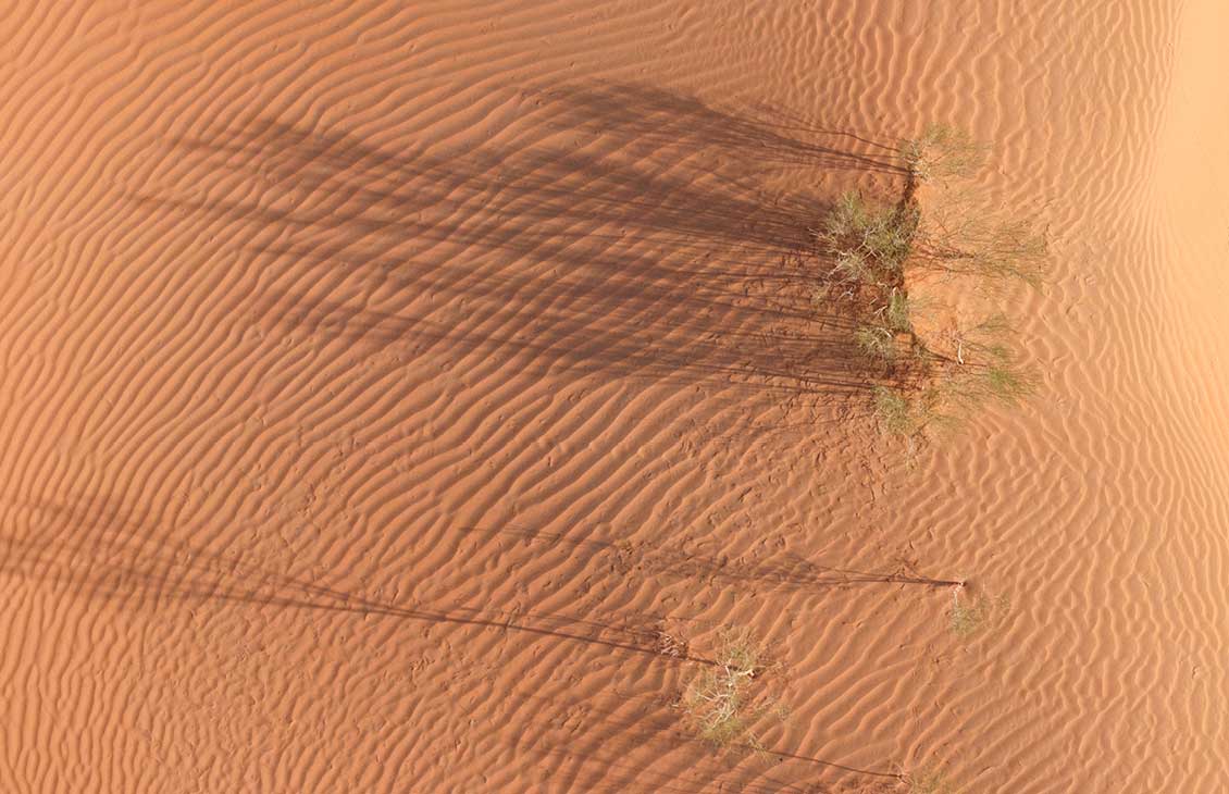 news hightlight card image alt text