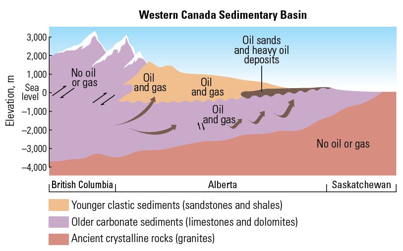 Marine sediments (purple) became source rock for hydrocarbons (dark brown) that migrated updip (dark brown arrows) into eroded mountain sediments (orange). 