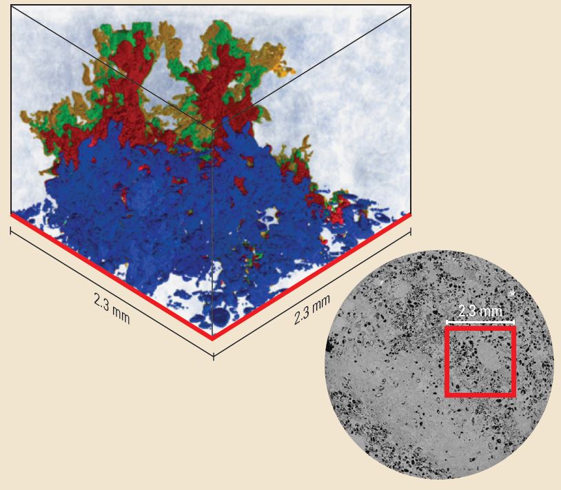 Tortuosity and hydrodynamic pore flow simulation.