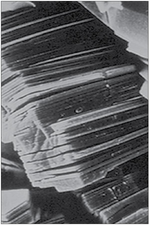 Scanning electron microscope (SEM) photograph of kaolinite clay. 