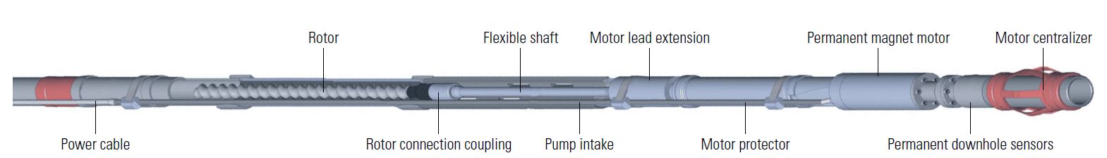 A rodless PCP downhole assembly.