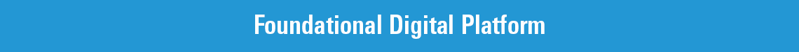Foundational Digital Platform Graphic